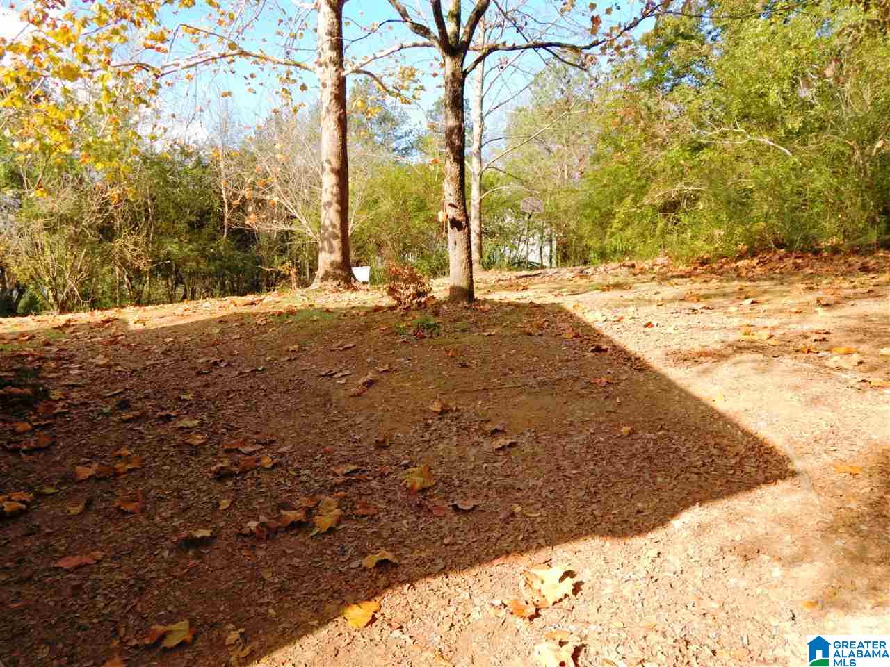 131 Beck Green Road Warrior, AL 35180 - Photo 33 of 35