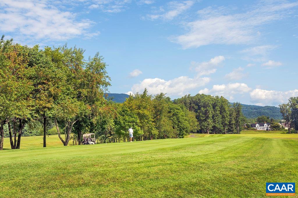 3518 Rowcross Street Crozet, VA 22932 - Photo 49 of 50 a view of a big yard with a large trees