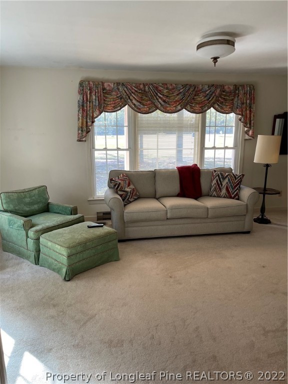 998 Peach Farm Road Lillington, NC 27546 - Photo 13 of 40 Gallery Image 13