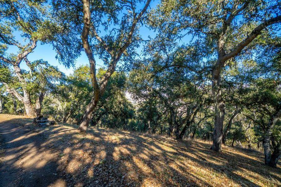 17114 Cachagua Road Carmel Valley, CA 93924 - Photo 4 of 32
