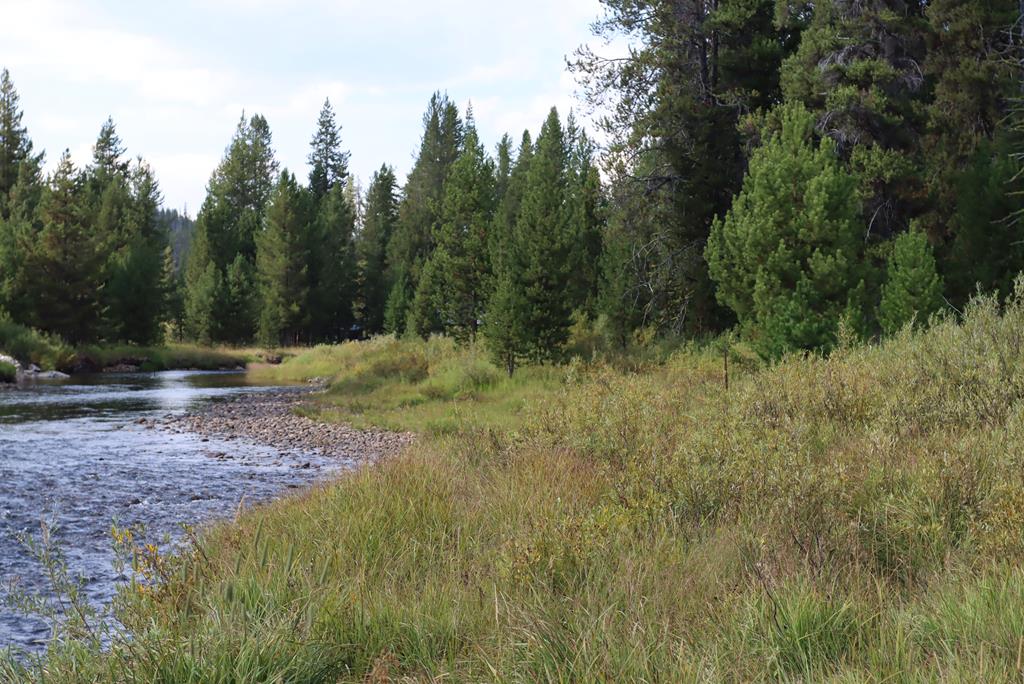L49 Secesh River Road, Unit 49 McCall, ID 83638 - Photo 11 of 12