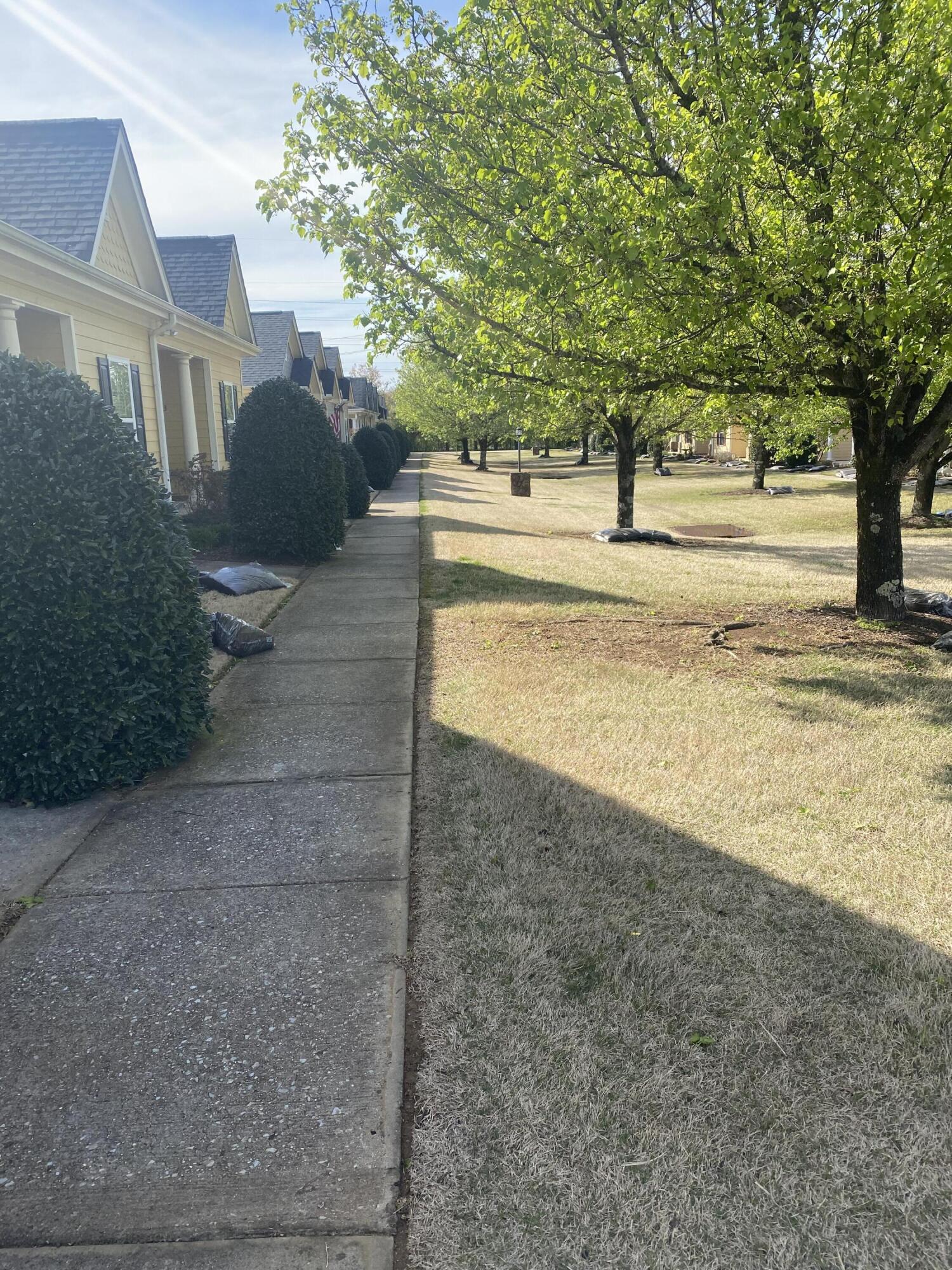 523 Callaway Court Chattanooga, TN 37421 - Photo 3 of 27 IMG_1704
