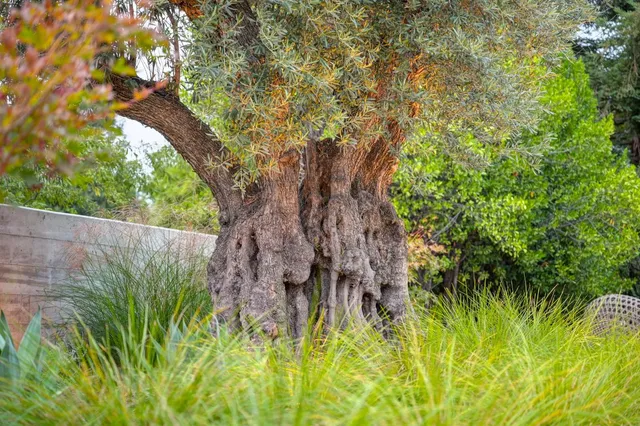 $4,200,000 | 5020 Manchester Court, Granite Bay, CA 95746