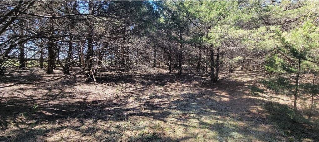 3528 West Virginia Road Kincaid, KS 66039 - Photo 20 of 61