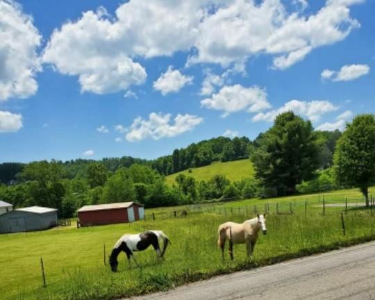 0 Kidwell Ridge Road, Unit 2 3 5 Morristown, TN 37814 - Photo 1 of 10 barn & horses