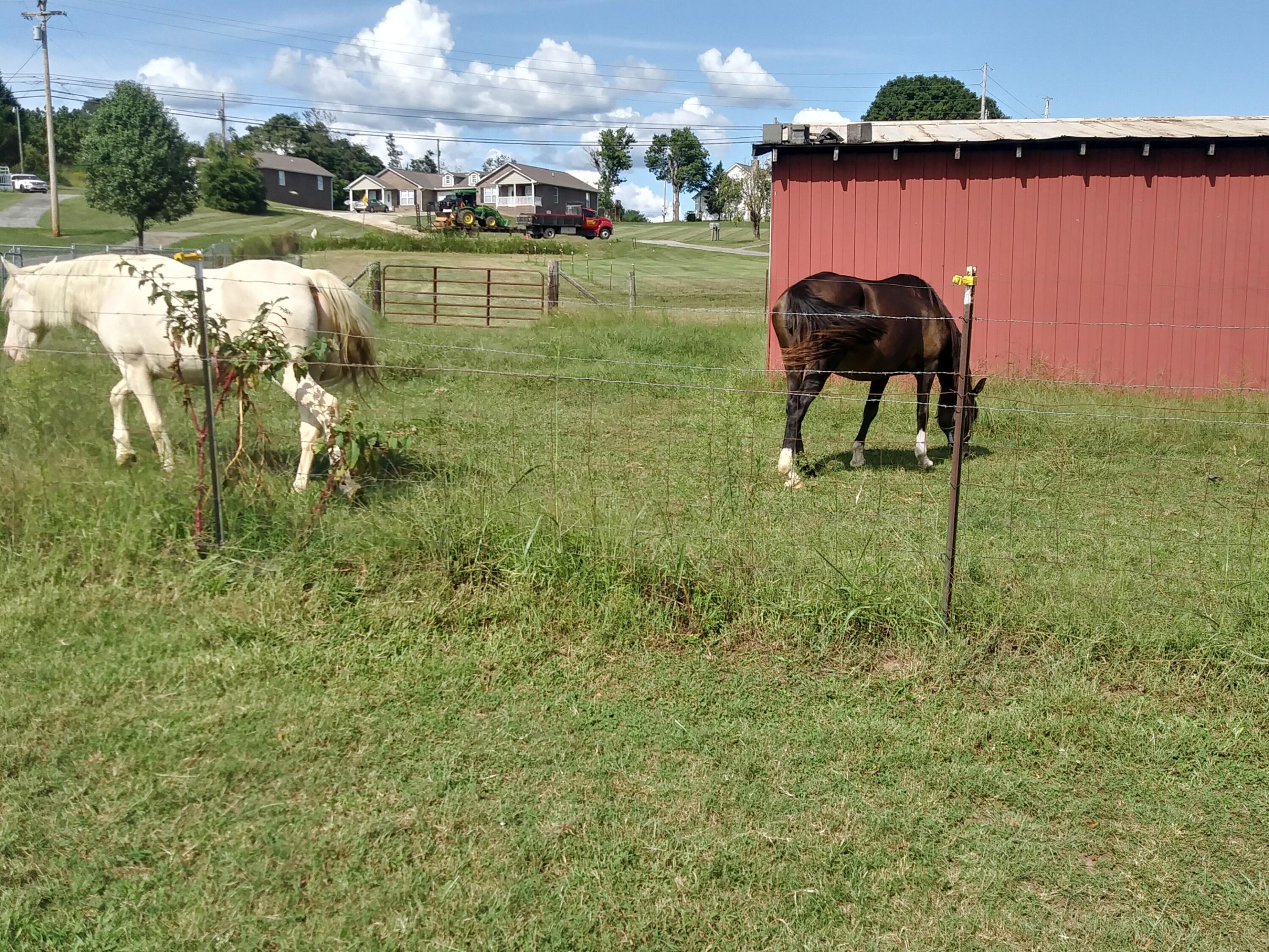 0 Kidwell Ridge Road, Unit 2 3 5 Morristown, TN 37814 - Photo 5 of 10 horses by red barn 2