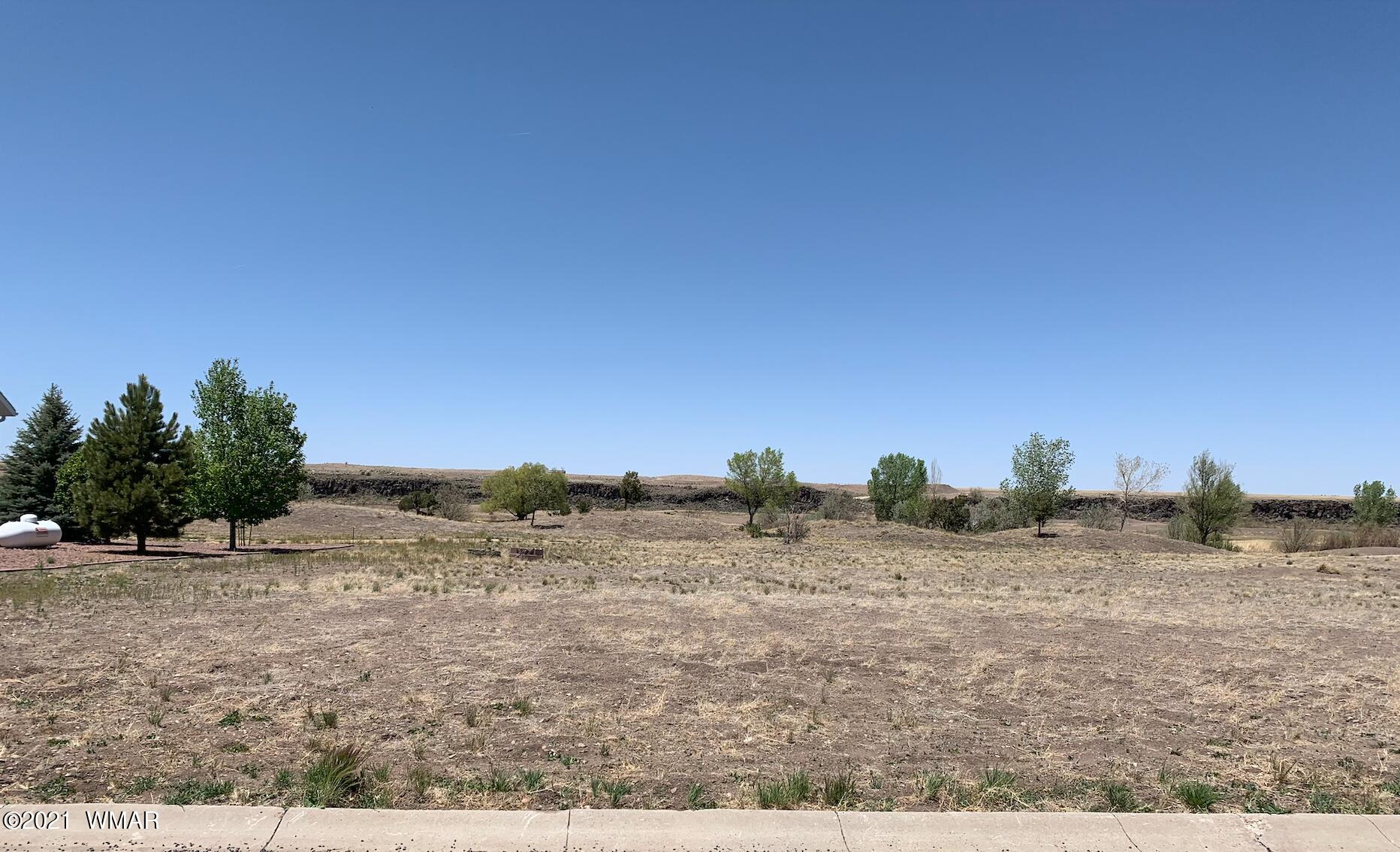Lot 6 North Old Gristmill Road Eagar, AZ 85925 - Photo 1 of 2