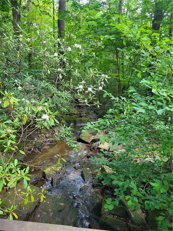 162 Rock Run Road Rector, PA 15677 - Photo 18 of 24 Nice native trout stream nearby