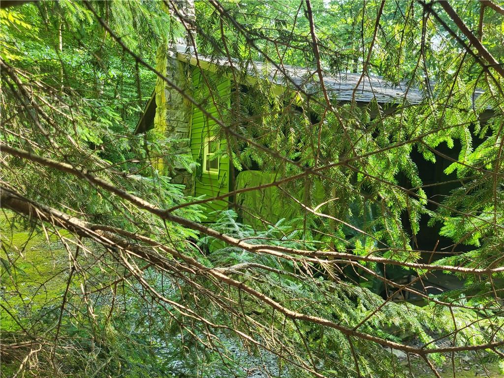 162 Rock Run Road Rector, PA 15677 - Photo 5 of 24 A glimpse thru the trees of the chimney side