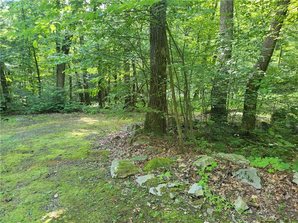 162 Rock Run Road Rector, PA 15677 - Photo 7 of 24 An area of the cleared space