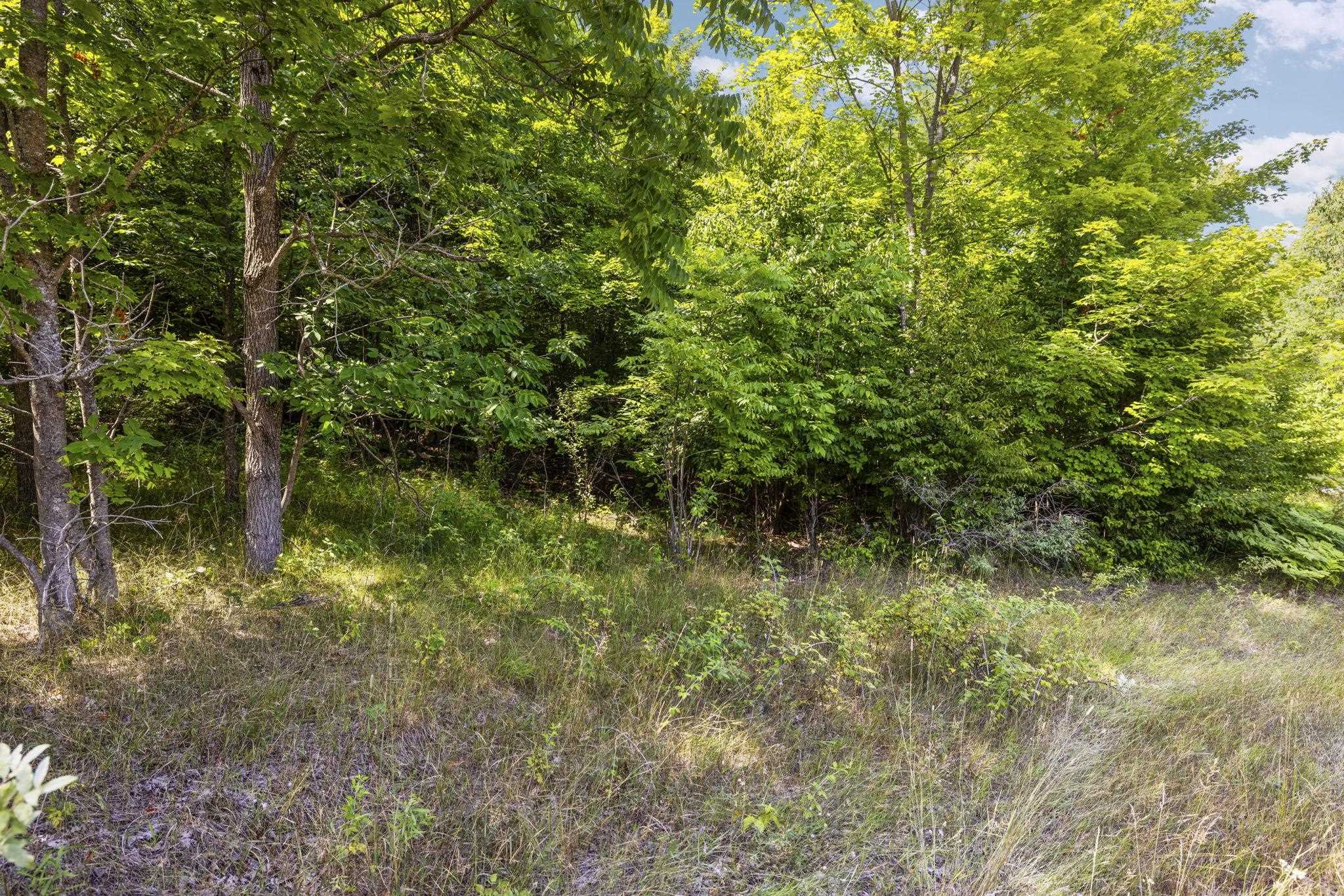 South Hill Road Cedar, MI 49621 - Photo 6 of 15