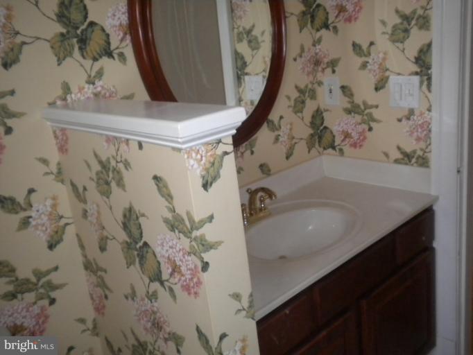 305 Hopkins Road Baltimore, MD 21212 - Photo 21 of 30 a bathroom with a sink and mirror with bathtub