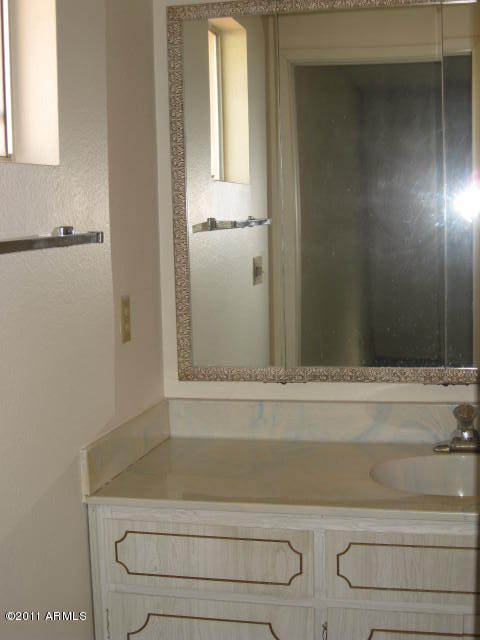 543 South Racine Mesa, AZ 85206 - Photo 8 of 13 MASTER VANITY