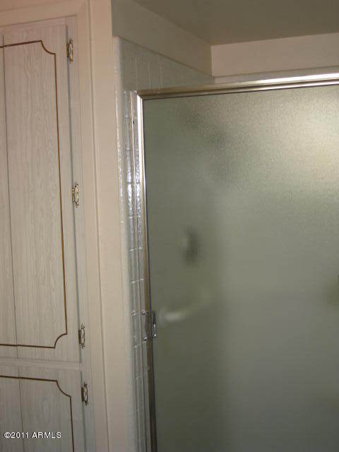 543 South Racine Mesa, AZ 85206 - Photo 9 of 13 MASTER SHOWER