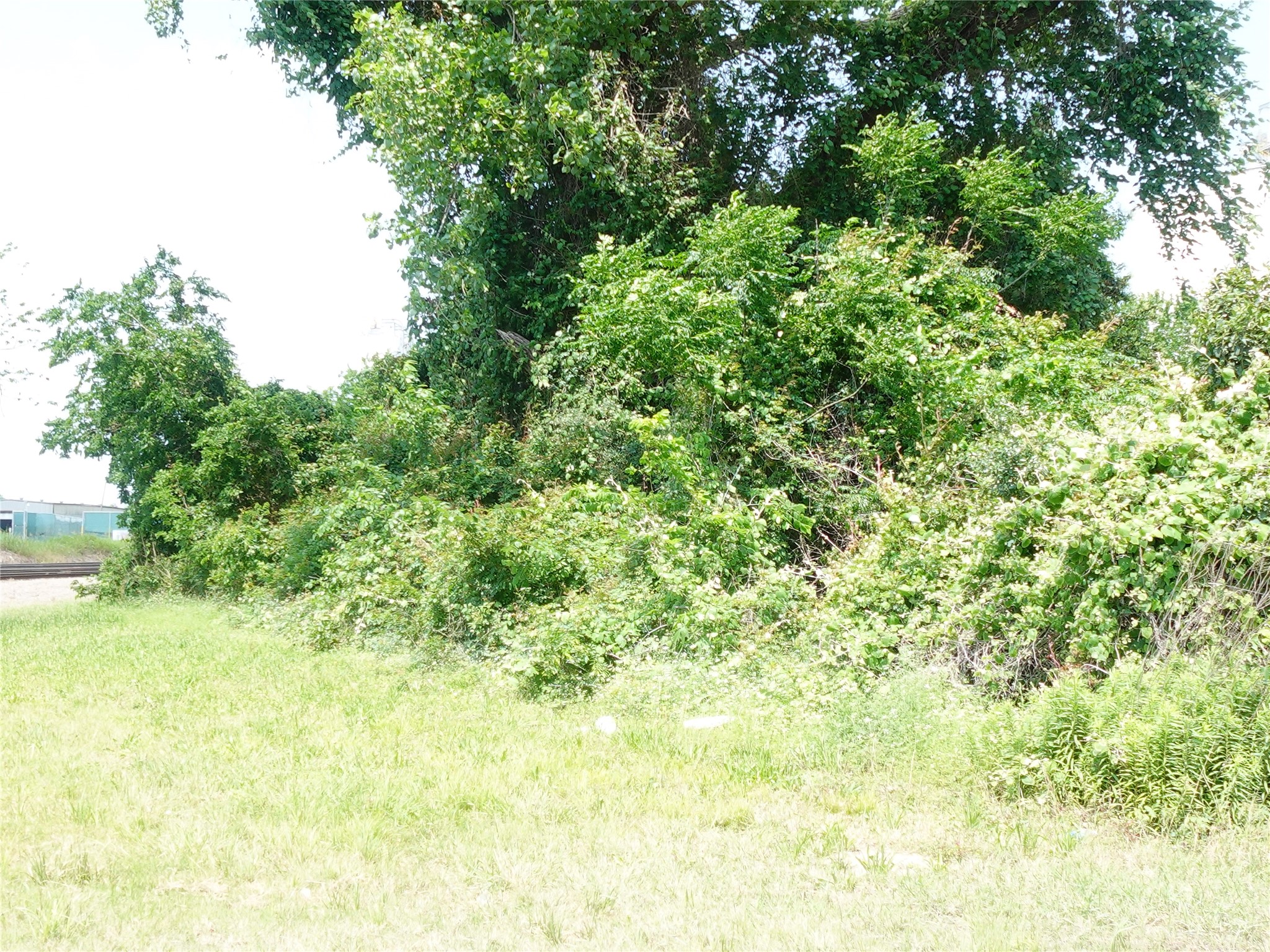 0 75th Street Houston, TX 77011 - Photo 1 of 2 a view of a big yard with plants and large trees