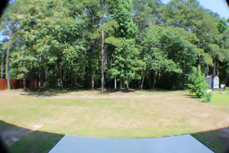 126 Forest Ridge Trail Swansboro, NC 28584 - Photo 28 of 28 Additional Photo
