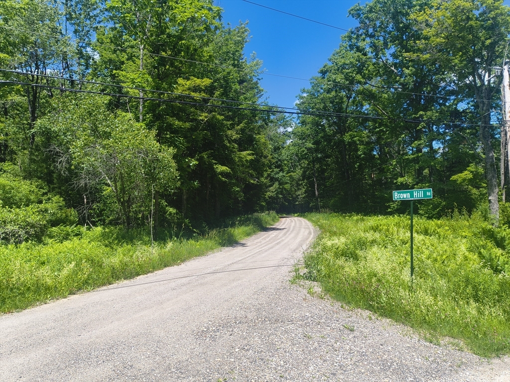 0 Brown Hill Road Worthington, MA 01098 - Photo 4 of 6