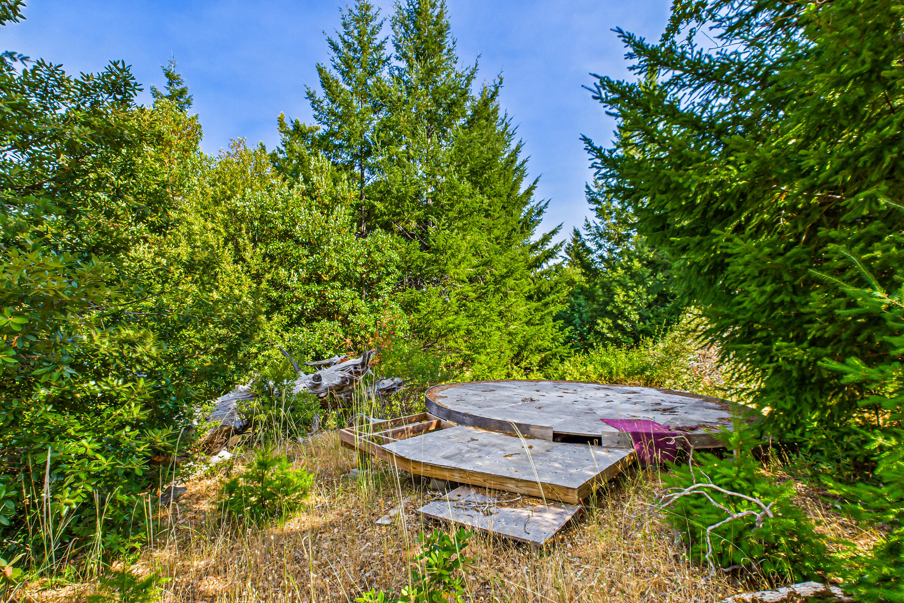 26092 Dyerville Loop Road Garberville, CA 95542 - Photo 45 of 74