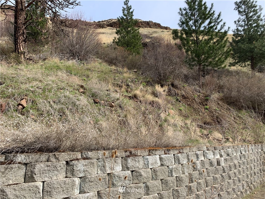 2013 Tucannon Road Pomeroy, WA 99347 - Photo 24 of 28