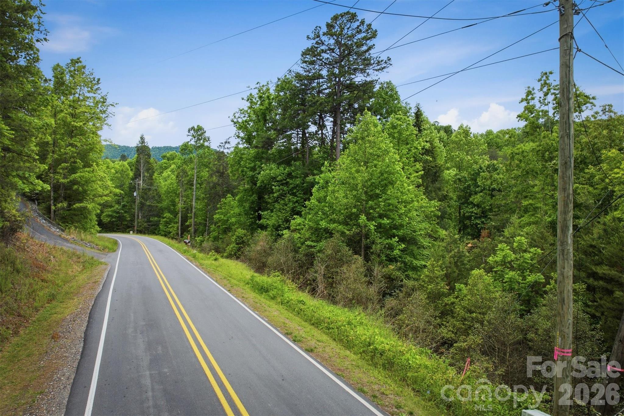 1350 Lavender Road Old Fort, NC 28762 - Photo 4 of 13