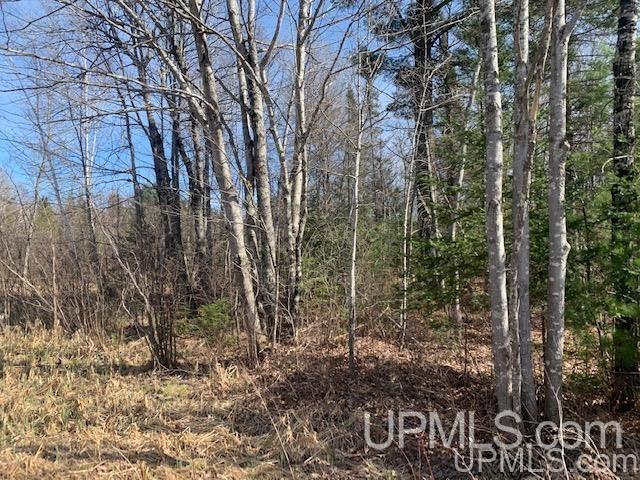 T-wi Holmes Junction Road Niagara, WI 54151 - Photo 2 of 2