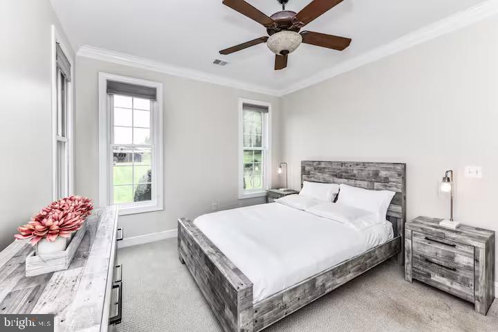 5501 Blue Valley Way Delaplane, VA 20144 - Photo 3 of 11