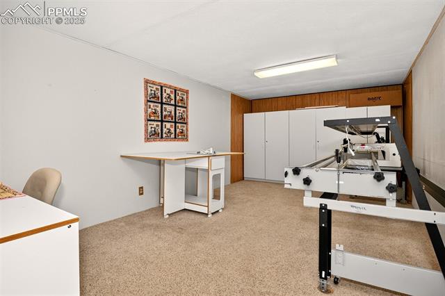 6723 Seneca Road Colorado Springs, CO 80915 - Photo 19 of 36 Carpeted and a great space to relax or entertain guest and family