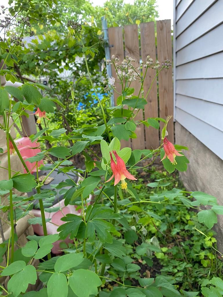 1769 Ross Avenue St. Paul, MN 55106 - Photo 27 of 30