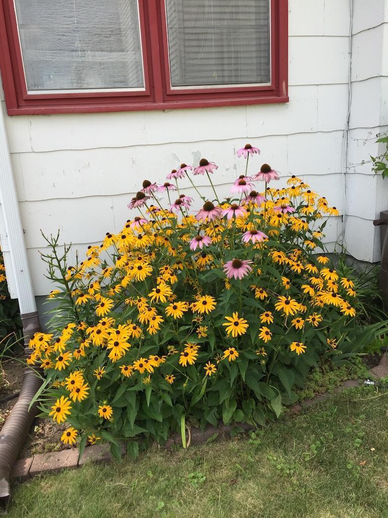 1769 Ross Avenue St. Paul, MN 55106 - Photo 29 of 30