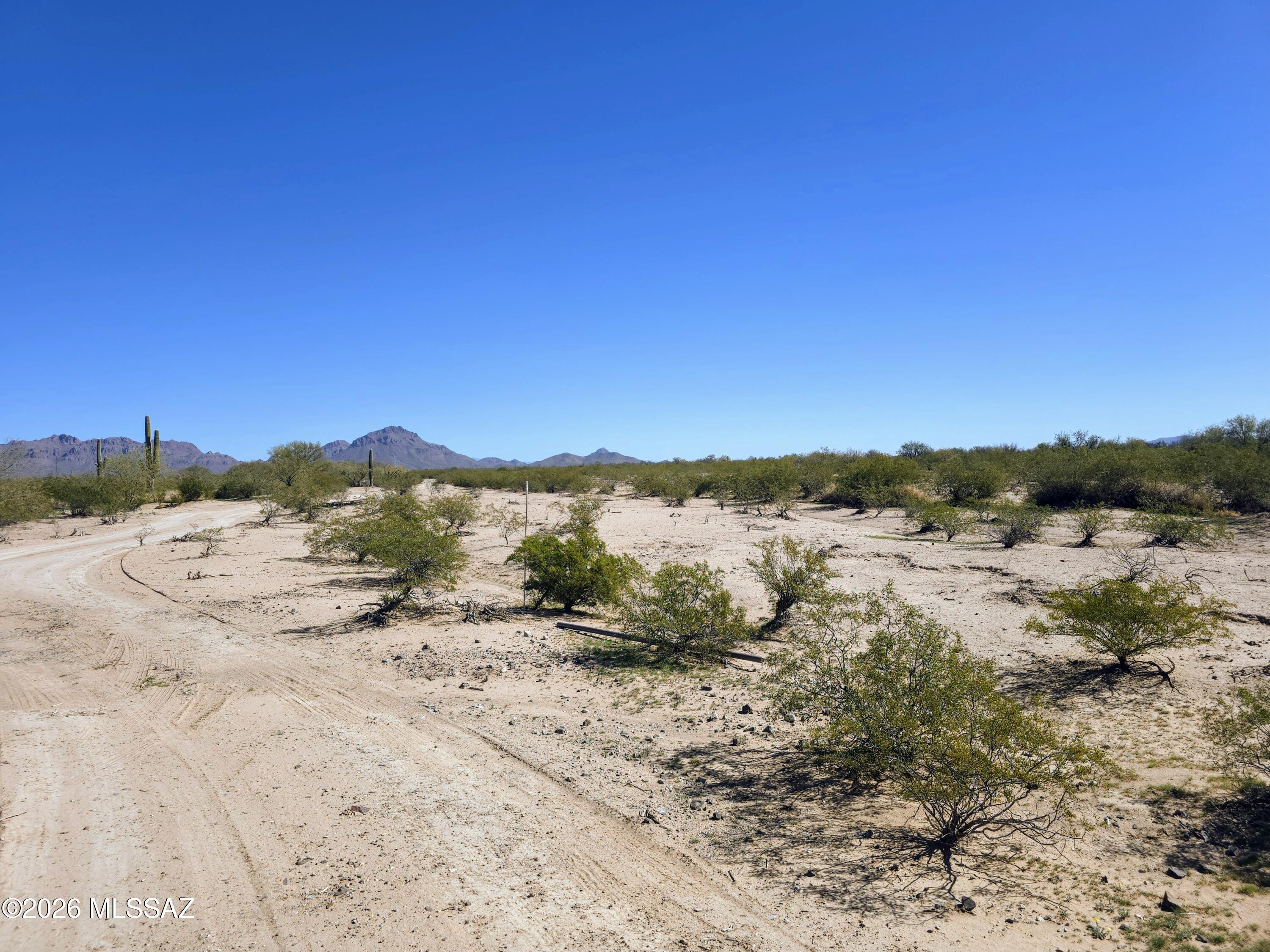 1491 South Sandario Road Tucson, AZ 85735 - Photo 1 of 15