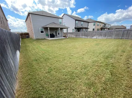 a view of a garden with plants
