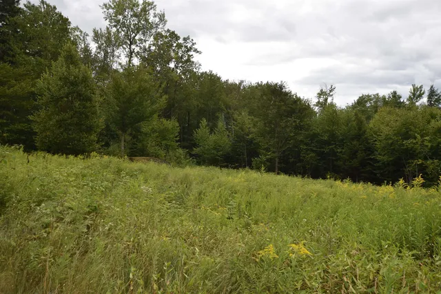 $169,000 | 0 Thistle Hl Place, Unit LOT #9, Rutland, VT 05701