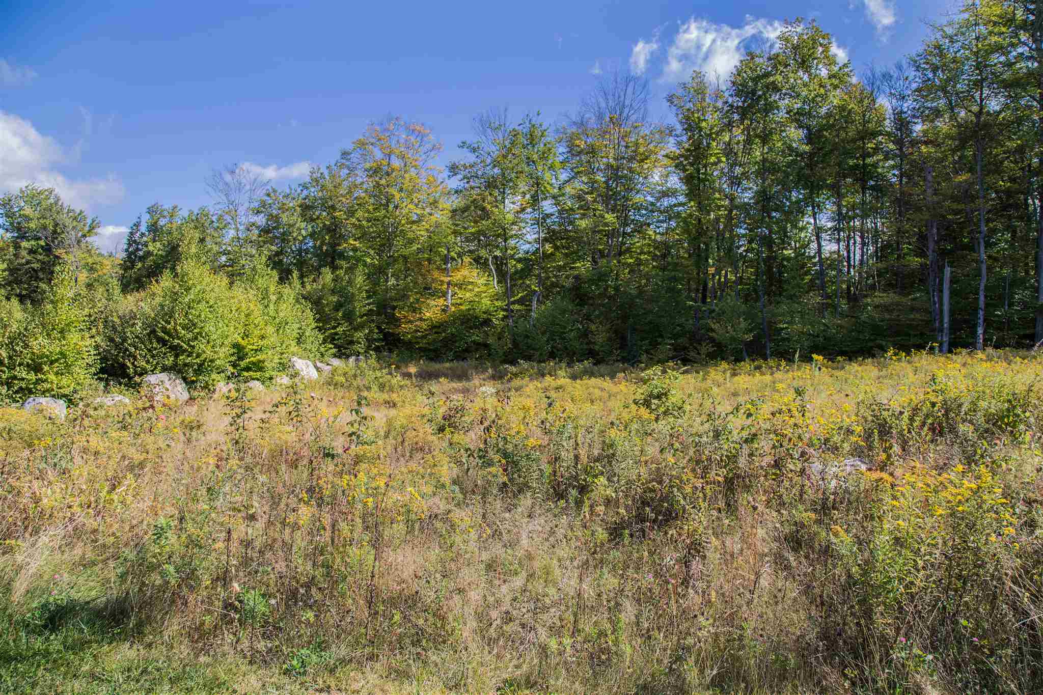 0 Thistle Hl Place, Unit LOT #9 Rutland, VT 05701 - Photo 4 of 11