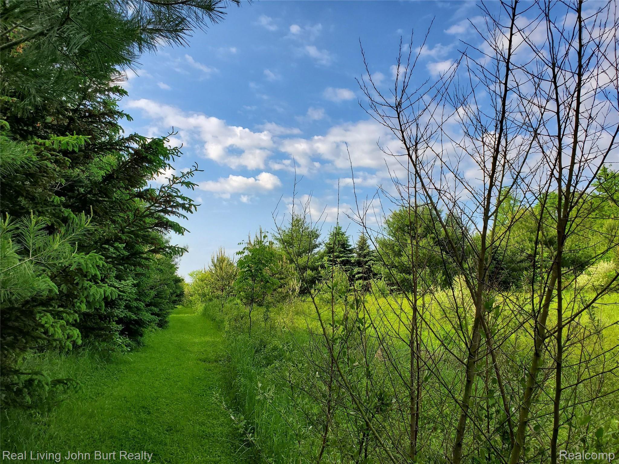3363 Haines Road Attica, MI 48412 - Photo 34 of 40 035.jpg