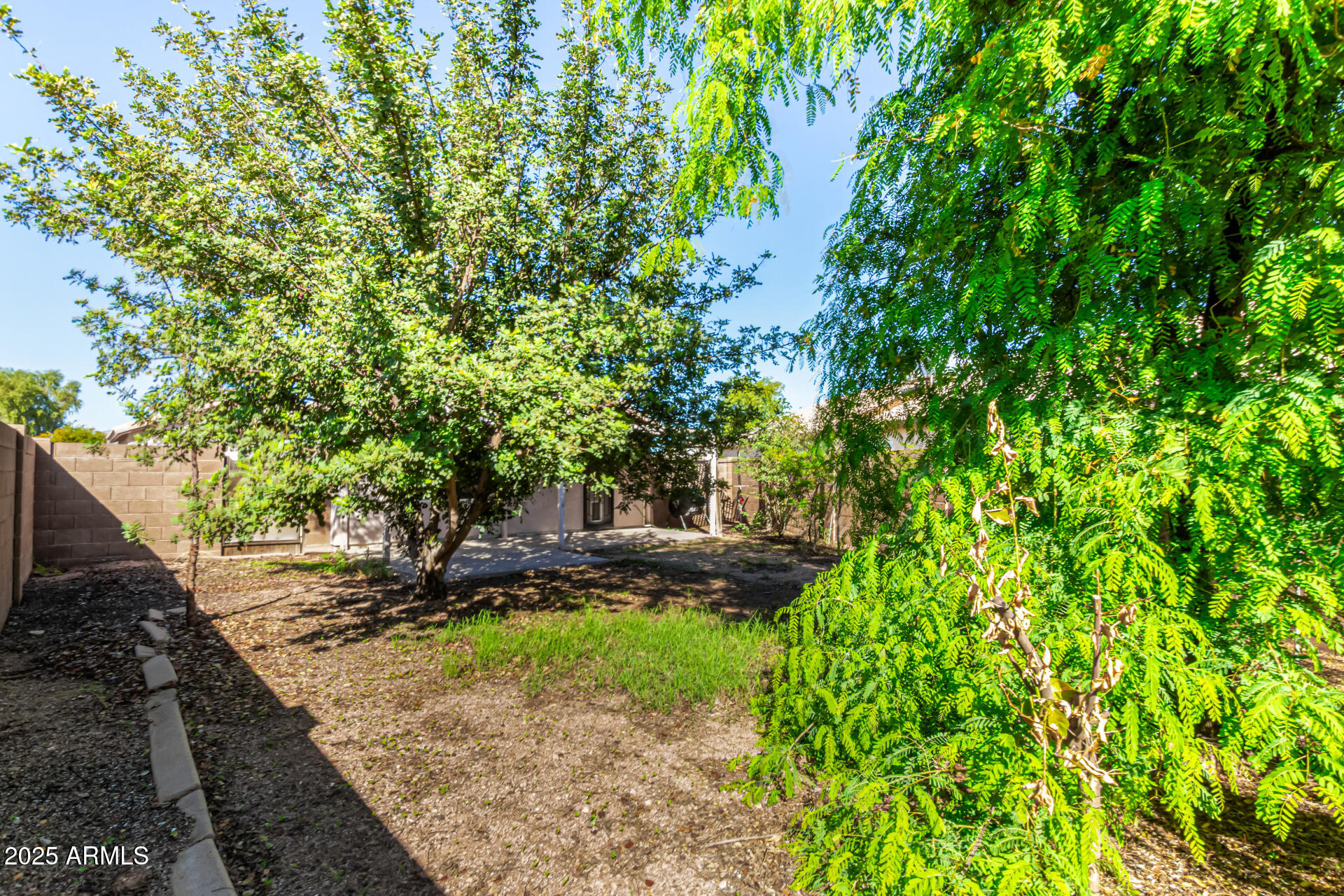 2279 West 20th Avenue Apache Junction, AZ 85120 - Photo 27 of 28 a backyard of a house with lots of green space