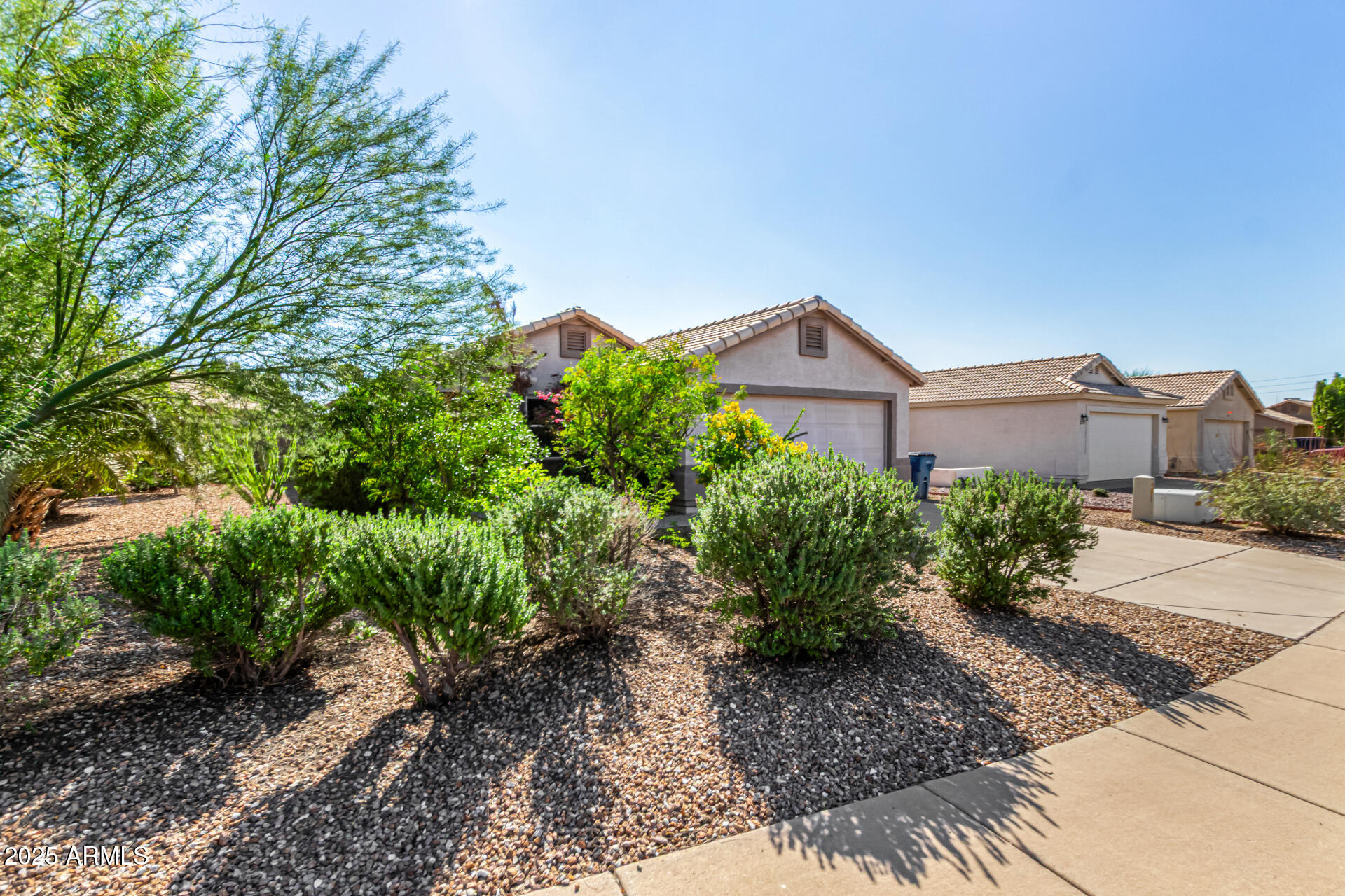 2279 West 20th Avenue Apache Junction, AZ 85120 - Photo 5 of 28 a view of a house with a yard and plant