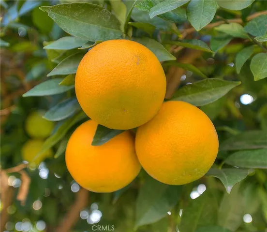 $800,000 | 1510 Ardilla Avenue, La Puente, CA 91746