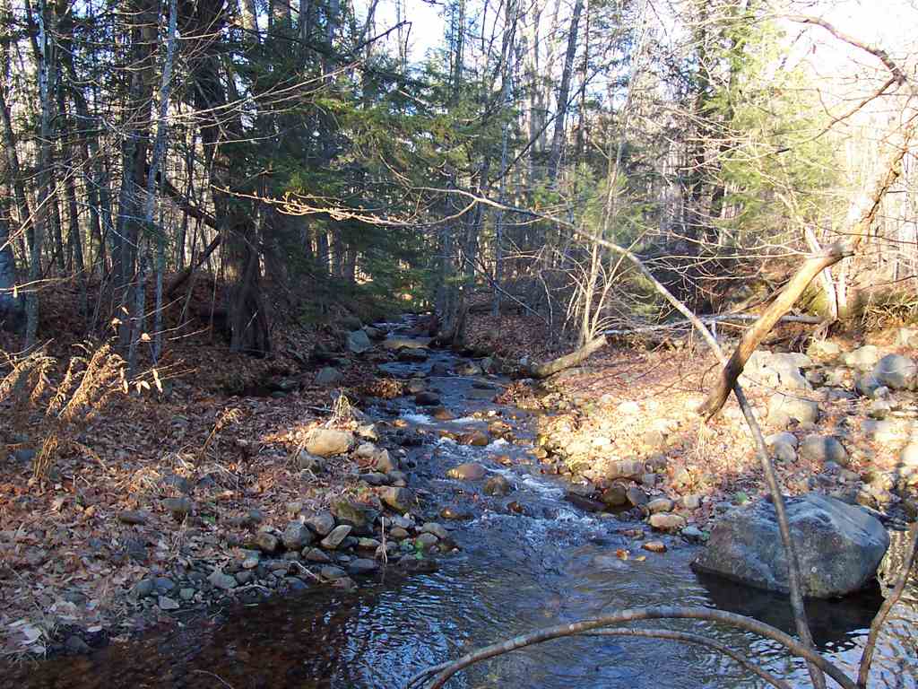 51 Brook Road Bristol, NH 03222 - Photo 29 of 37 Gallery Image 29