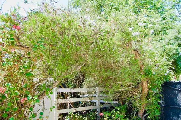 $2,800 | 736 Mar Vista Drive, Vista, CA 92081