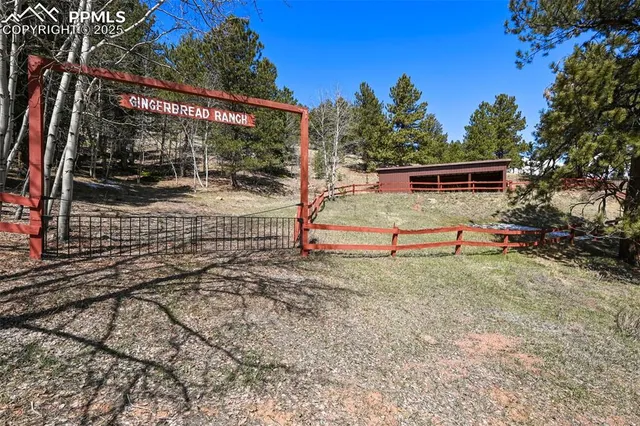 a view of backyard with deck and garden