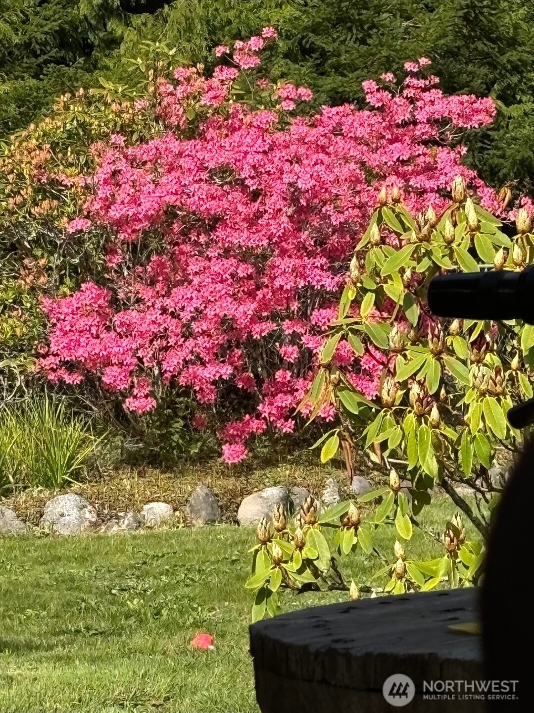 930 Tipsoo Loop North Rainier, WA 98576 - Photo 40 of 40