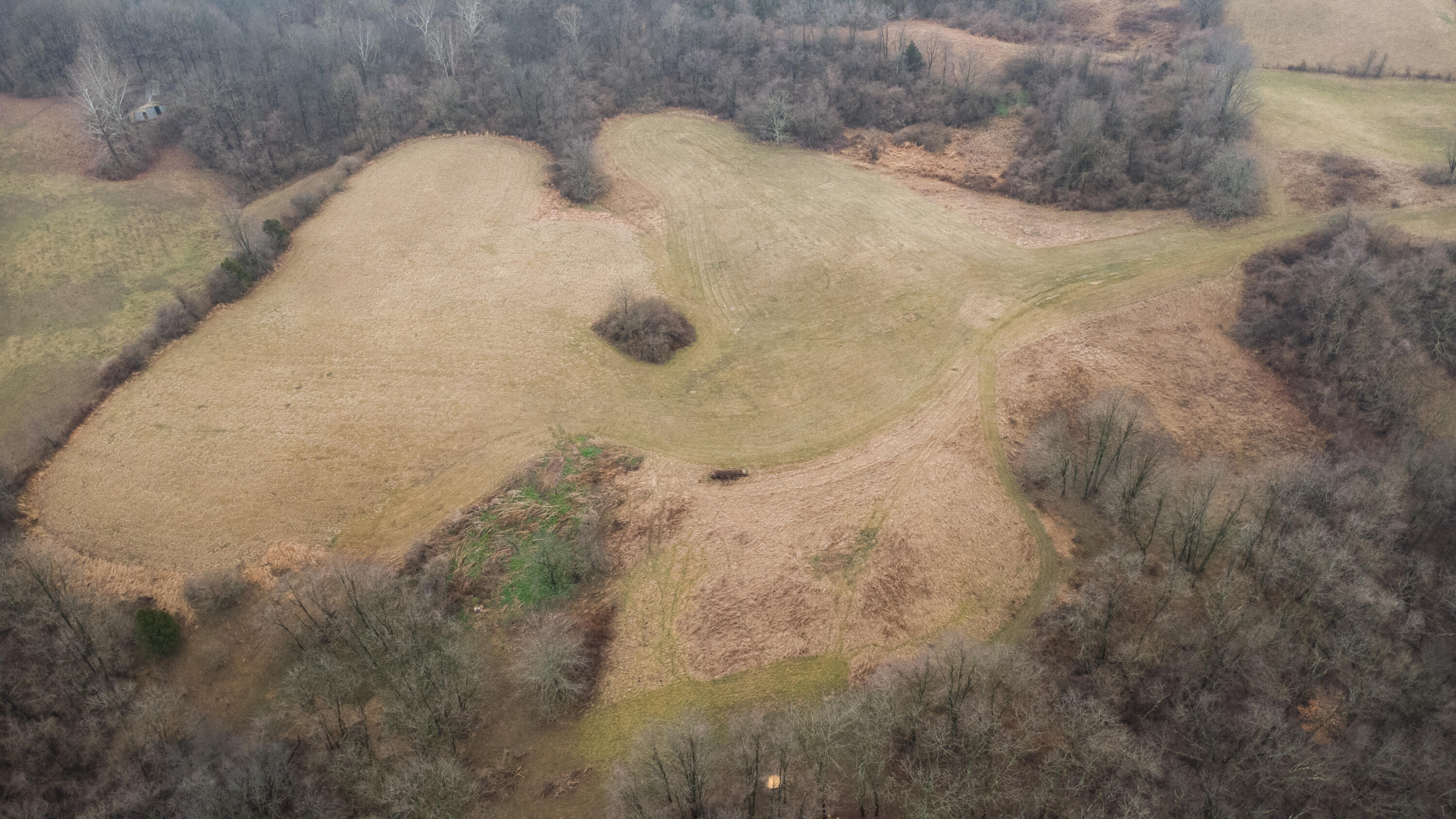 7812 East Bend Road Burlington, KY 41005 - Photo 45 of 47