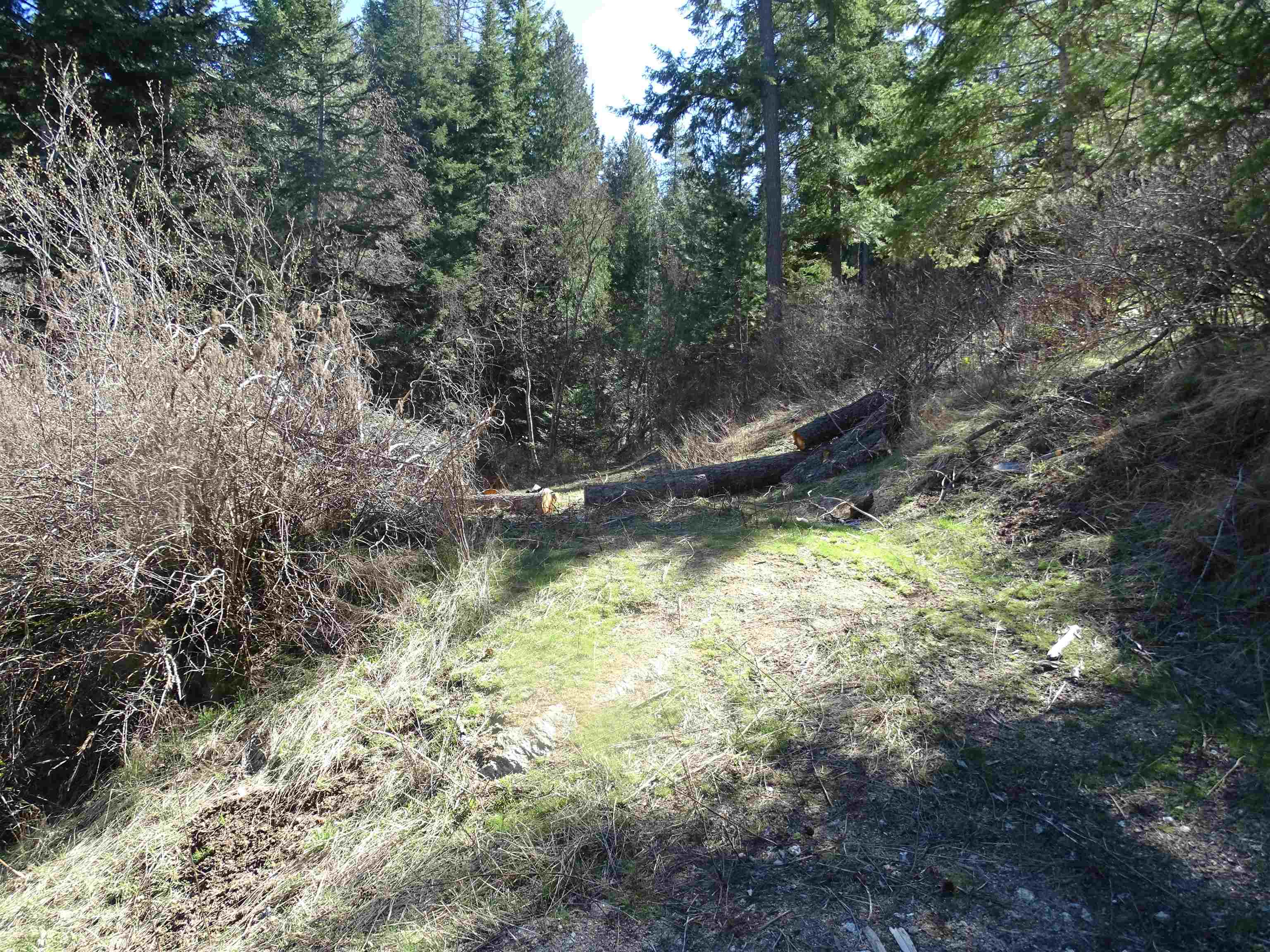 17208 East Blanchard Road Elk, WA 99009 - Photo 8 of 28