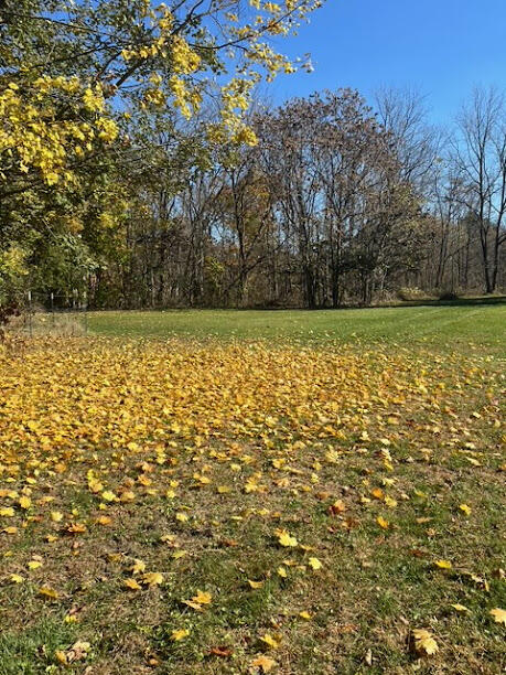 213 South Wattles Road Battle Creek, MI 49014 - Photo 24 of 26 Yard