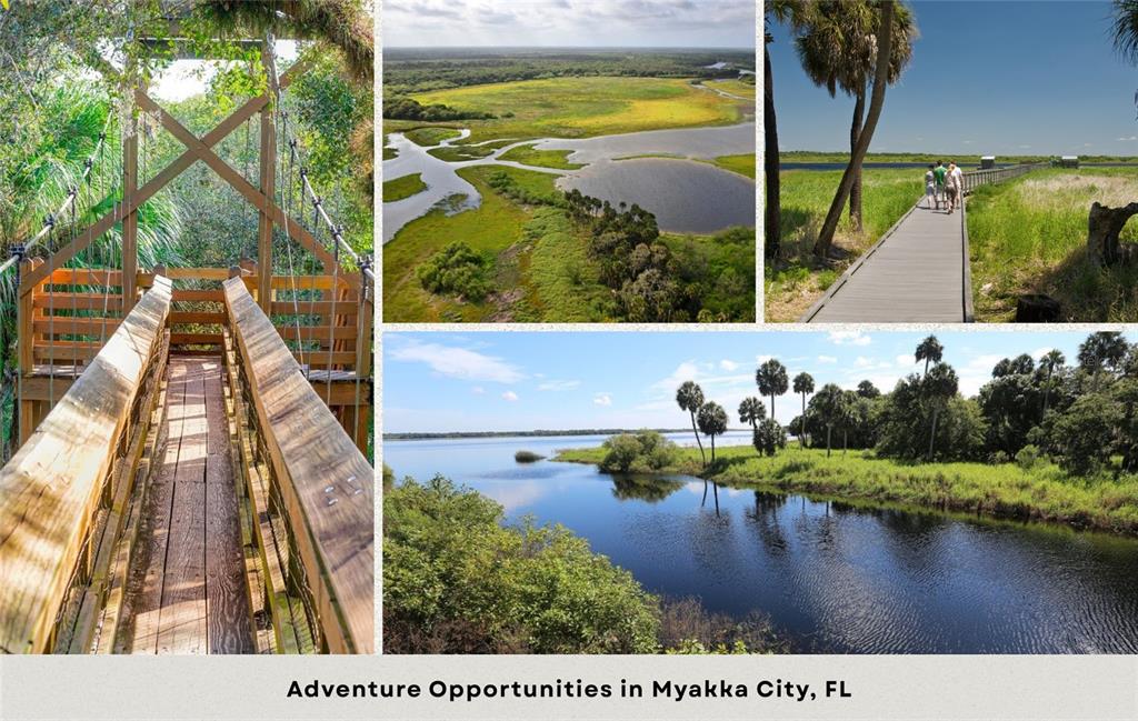 13 Midway Road Myakka City, FL 34251 - Photo 6 of 8 a view of swimming pool with a yard