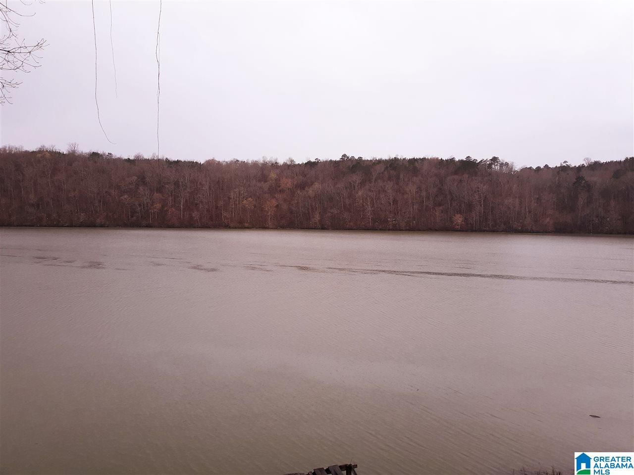 400 Larry Lane Adger, AL 35006 - Photo 2 of 15