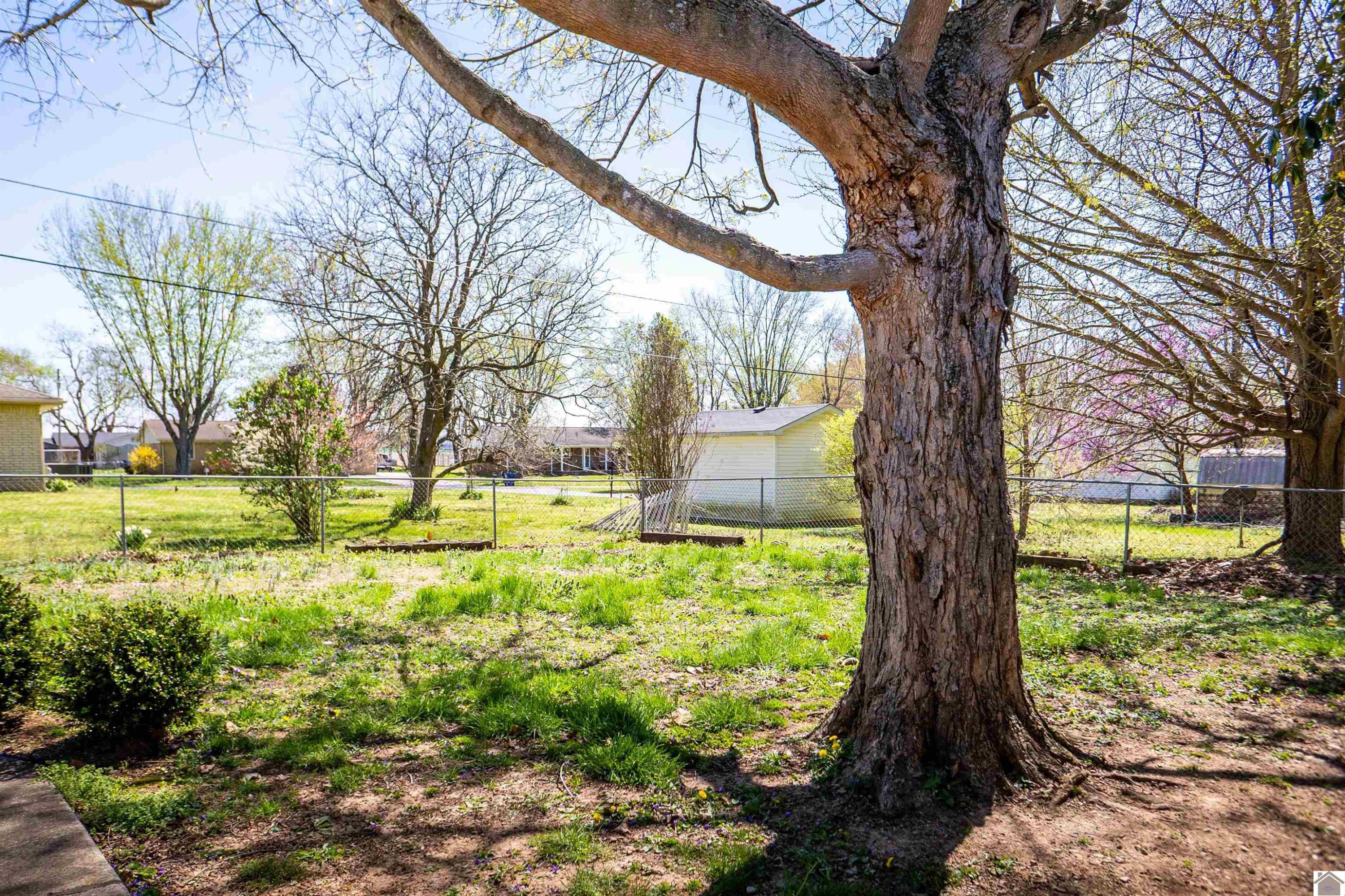 114 Willow Road Fredonia, KY 42411 - Photo 25 of 31 Photo 25