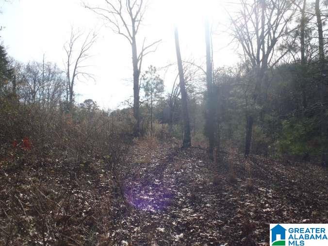 6510 Glovers Ferry Road Alpine, AL 35014 - Photo 22 of 25