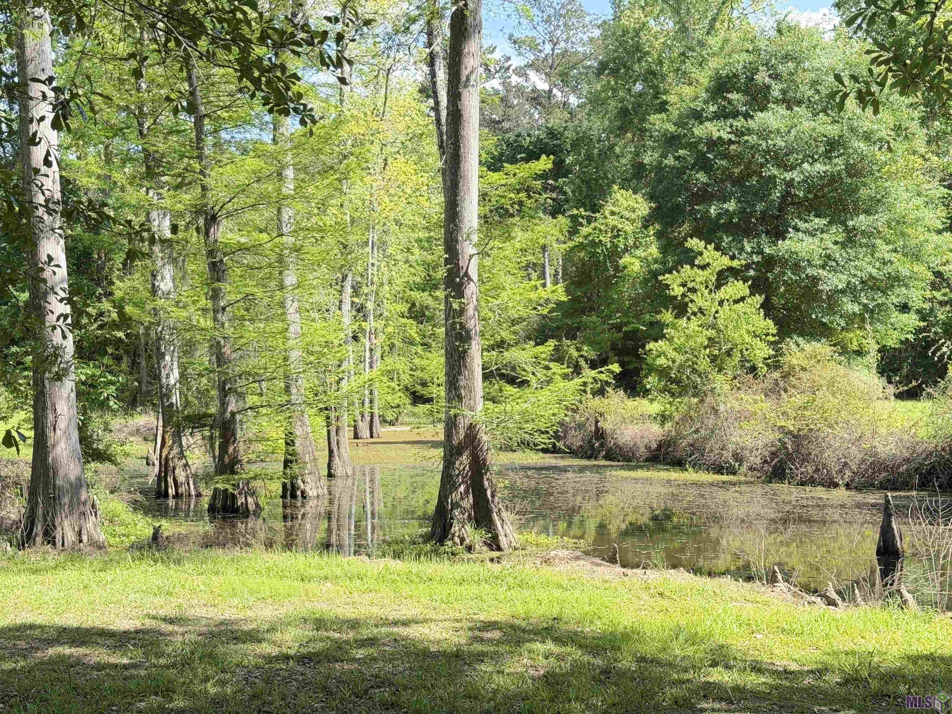17635 Melancon Road Livingston, LA 70754 - Photo 31 of 40 Gallery Image 31