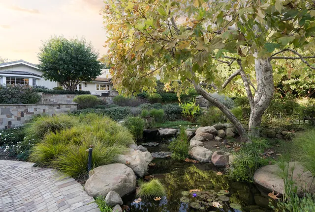a view of a garden with plants and large trees